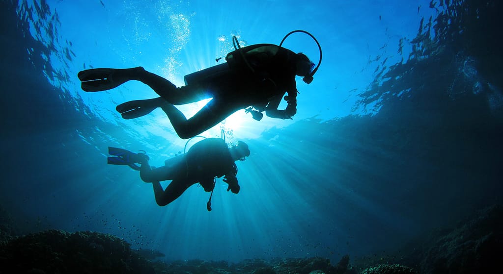 Scuba Diving in Malvan