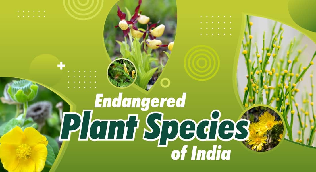 Endangered Plant Species of India