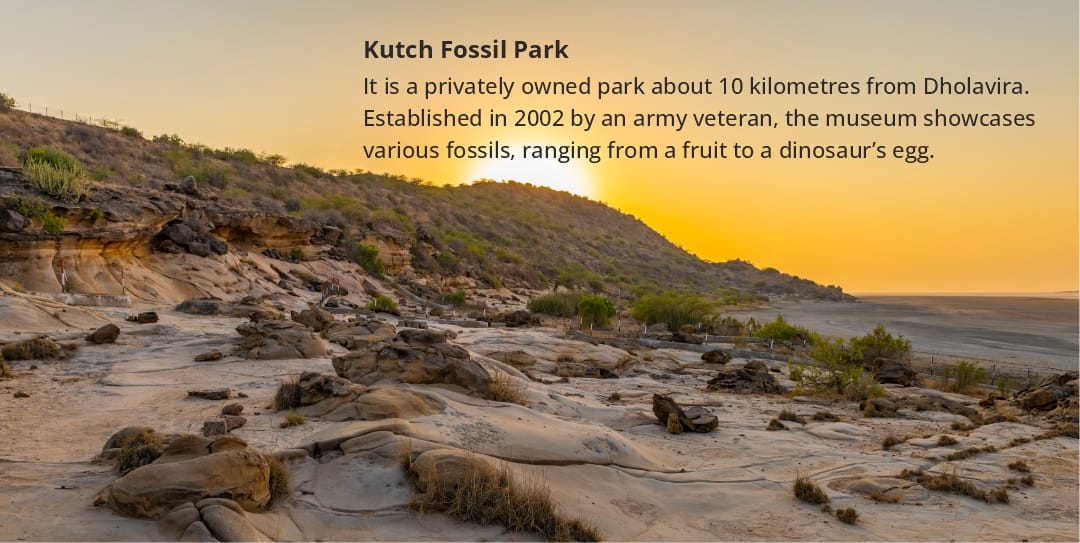 Kutch Fossil Park 
