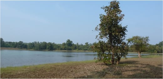 Tadoba Lake