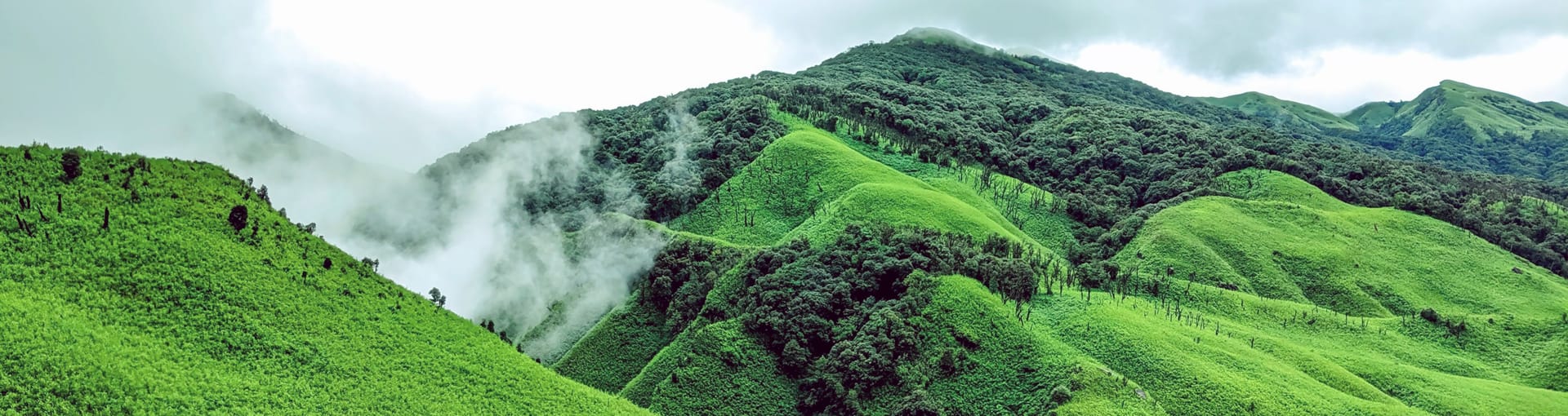 green-mountains-of-dzuku-valley-nagaland-india-these-valleys